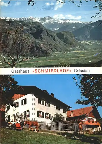 Grissian Gasthaus Schmiedlhof Kat. Meran