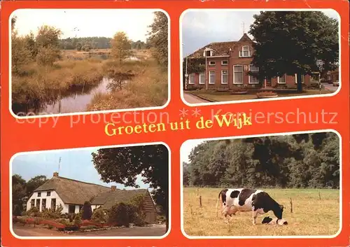 De Wijk Drenthe Kuehe Ortsansichten