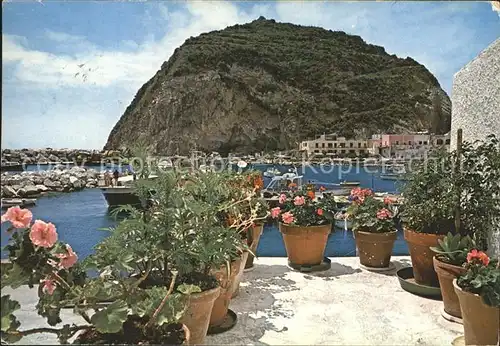 Sant Angelo Ischia Hafen 