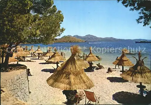 Pollensa Strand Kat. Mallorca