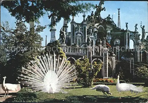 Isola Bella Der Garten vom Borromeo Palast Kat. Lago Maggiore