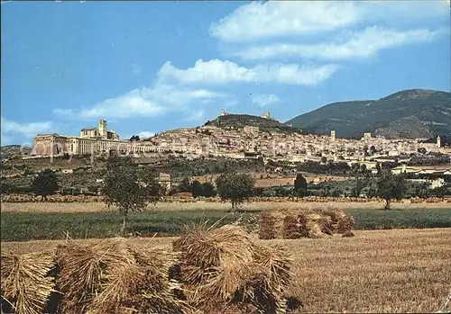 Assisi Umbria Panorama Kat. Assisi