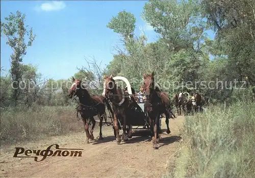 Russland Trojka Fahrt Kat. Russische Foederation