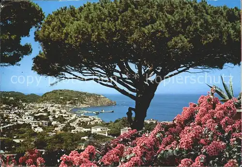 Lacco Ameno Isola d`Ischia Kat. Ischia Insel Golfo di Napoli