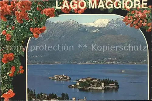 Lago Maggiore Fliegeraufnahme Kat. Italien