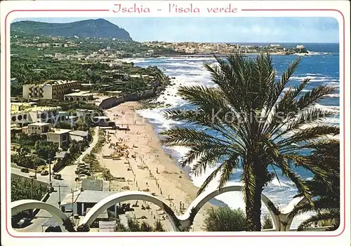 Isola d Ischia Spiaggia di San Francesce Strand Palmen Kat. Golfo di Napoli