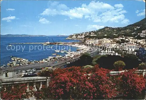 Casamicciola Terme Panorama Porto Hafen Kat. Italien