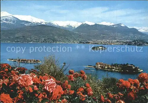 Lago Maggiore Isole Borromee Borromaeische Inseln Alpenpanorama Kat. Italien