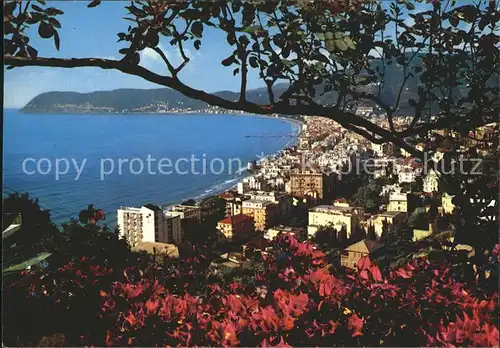 Alassio Panorama Riviera dei Fiori Kat. 