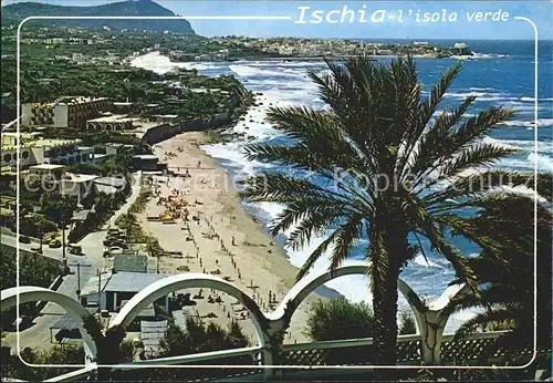 Forio d Ischia Panorama Isola Verde Spiaggia di San Francesco Palmen Kat. 