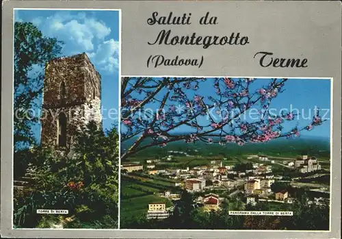 Montegrotto Terme Panorama dalla Torre di Berta Baumbluete Kat. 