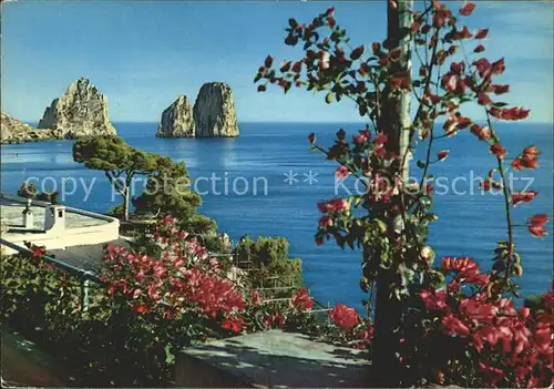 Capri Faraglioni dai giardini Cesare Augusta Kat. Golfo di Napoli