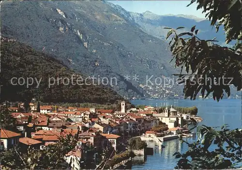 Cannobio Lago Maggiore Panorama Kat. Italien