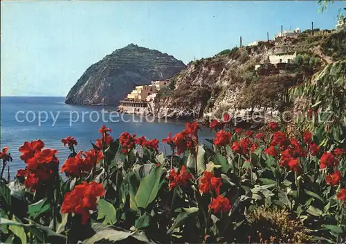 Sant Angelo Ischia Panorama Kueste Blumen / Ischia /Napoli