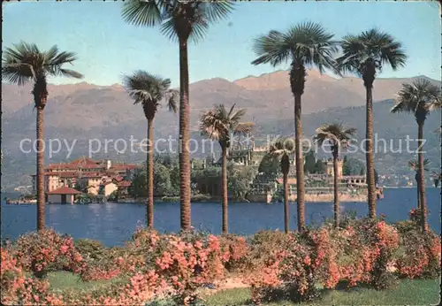 Isola Bella Uferpromenade Palmen Kat. Lago Maggiore