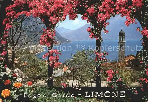 Limone sul Garda Panorama Kirche Baumbluete Gardasee Kat. 