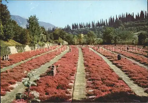 Costermano Cimitero Militare Tedesco Deutscher Soldatenfriedhof