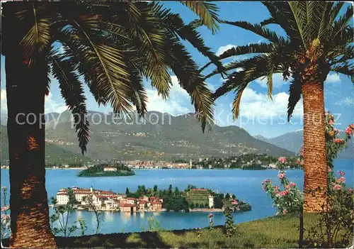 Lago Maggiore Isola Bella Isola Madre e Verbania Pallanza Palmen Kat. Italien