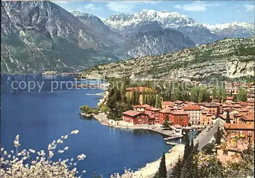 Torbole Lago di Garda Panorama Gardasee Alpen Baumbluete Kat. Italien