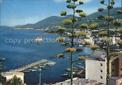 Lacco Ameno Panorama Porto Hafen Kat. Ischia Insel Golfo di Napoli