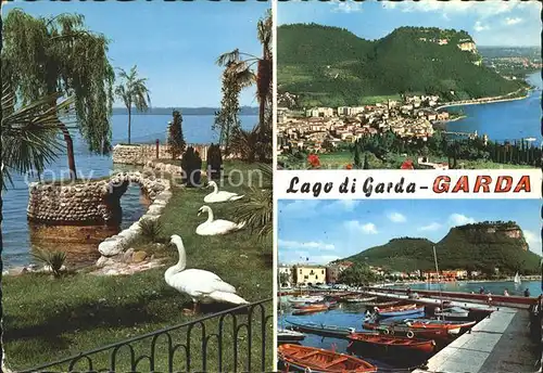Garda Uferpartie am Gardasee Schwan Hafen Kat. Lago di Garda 