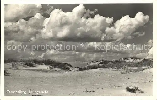 Terschelling Duingezicht Kat. Niederlande