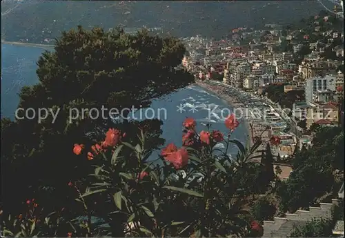 Alassio Panorama Strand Blumen Kat. 