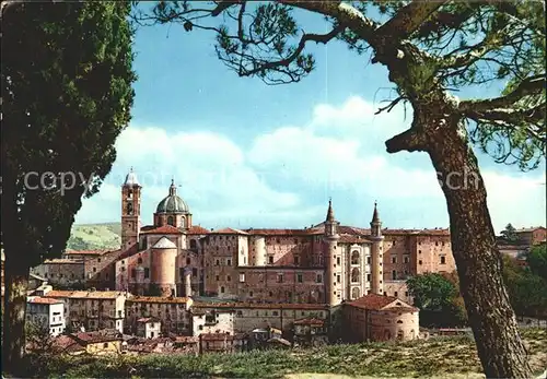 Urbino Dom und Palazzo Ducale Kat. Italien