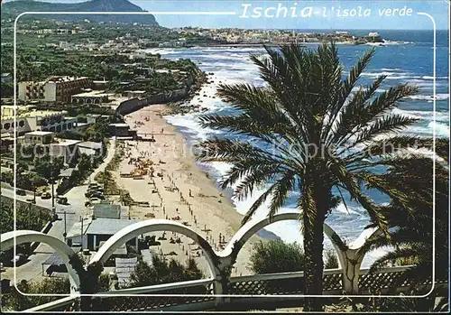 Forio d Ischia Panorama Spiaggia Strand Palme Kat. 