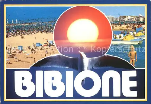 Bibione Spiaggia Strand Moewe