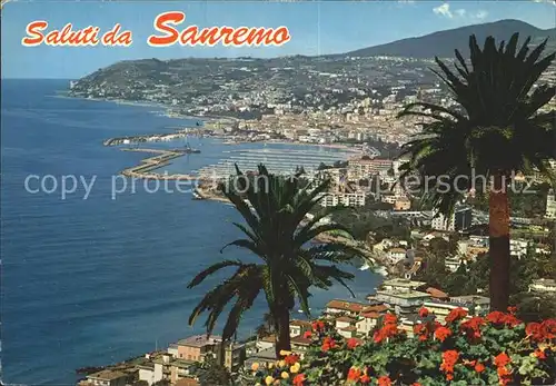 Sanremo Panorama Hafen Palmen Kat. 