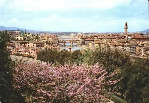 Firenze Toscana Panorama Baumbluete Kat. Firenze