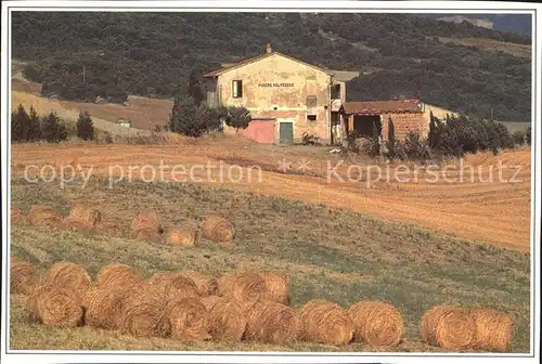 Asciano Casa Colonica