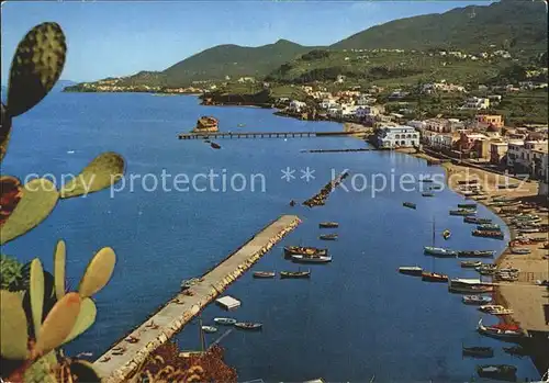 Lacco Ameno Panorama Hafen Strand Kueste Kat. Ischia Insel Golfo di Napoli