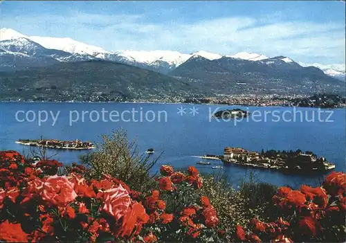 Isole Borromee Lago Maggiore Panorama Alpen Blumen Kat. Italien