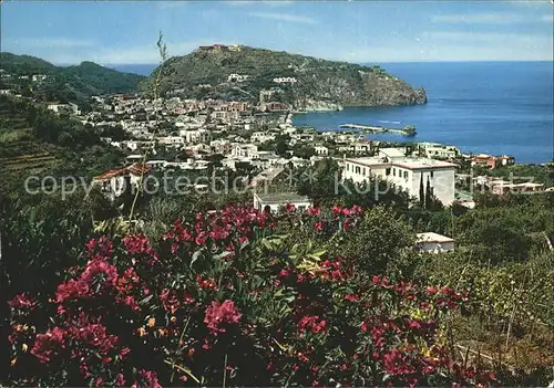 Lacco Ameno Panorama Kat. Ischia Insel Golfo di Napoli