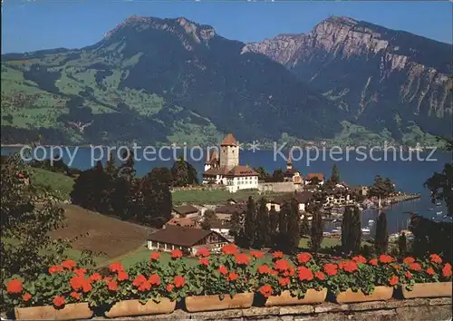 Spiez Thunersee BE Schloss Schlosskirche / Spiez /Bz. Niedersimmental