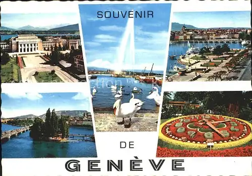 Geneve GE Le Palais de l`O.N.I. Let jet eau et les cygnes Mont Blanc et vue sur la Ville L`Horiage Fleurie Kat. Geneve