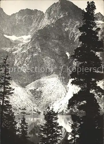 Hohe Tatra Mieguszowiecki Szezyt Kat. Slowakische Republik