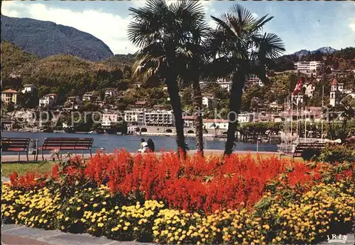 Ascona TI  Kat. Ascona