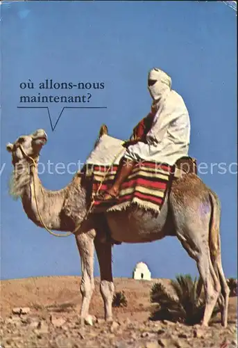 Matmata Mann auf Camel Kat. Tunesien