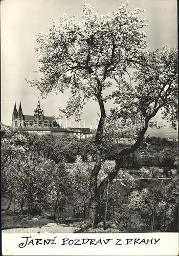 Praha Prahy Prague Kirche Kat. Praha