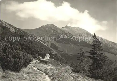 Nizke Tatry Pohlad z juhu na masiv Dumbiera Kat. Slowakische Republik