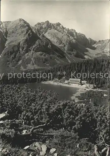 Vysoke Tatry Mengusovska dolina Kat. Slowakische Republik