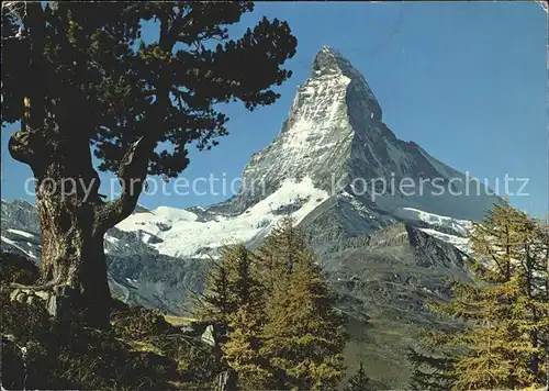 Zermatt VS Matterhorn Kat. Zermatt