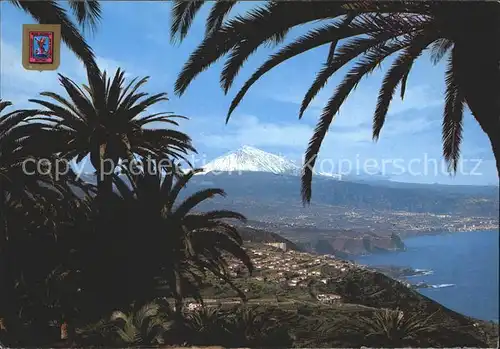 Tenerife Teide Nordkueste Kat. Islas Canarias Spanien