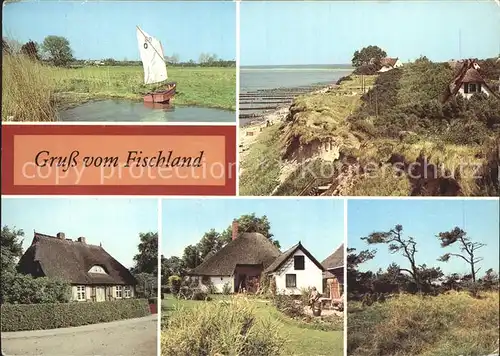 Ahrenshoop Ostseebad Bodden Hohes Ufer Windfluechter Wustrow Fischerhafen Althagen Fischland Ostsee Kat. Ahrenshoop