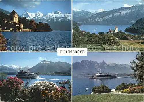 Thunersee Blick auf die Alpen Personenschiffe Kat. Thun