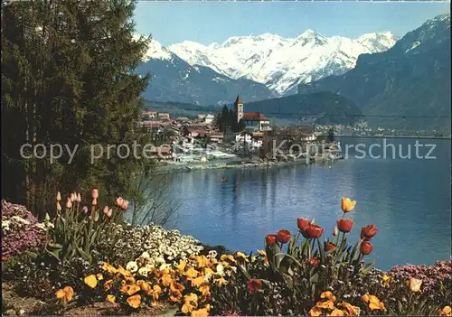 Brienz BE Brienzersee und Hasliberge Kat. Brienz