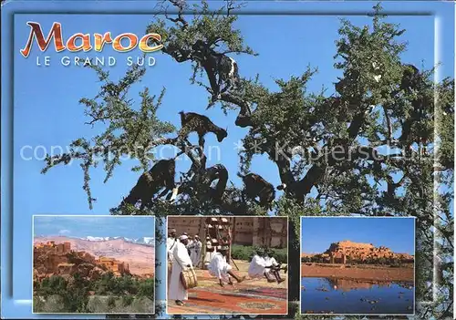 Maroc Marokko Le Grand Sud Kat. Marokko